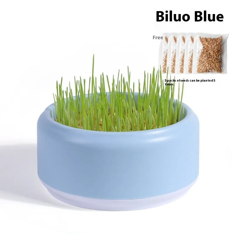 Hydroponic cat grass kit with plastic cup and seed packets in blue, green, yellow colours