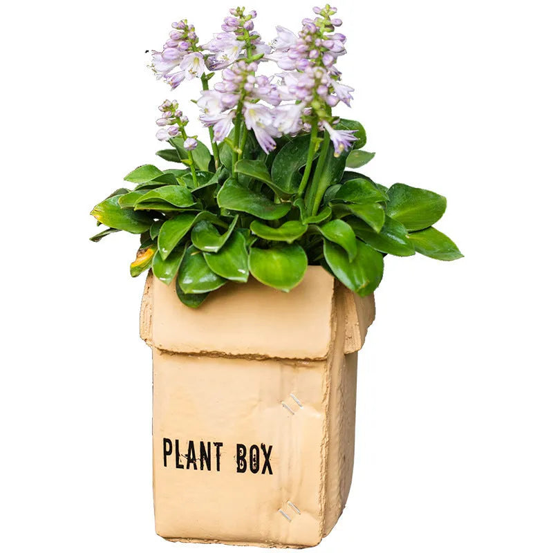 Cement brown paper box style flowerpot with bottom drainage hole for indoor balcony gardening