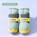 Cartoon style summer dog shoes in Bondi blue and Dean green colours on a white background.