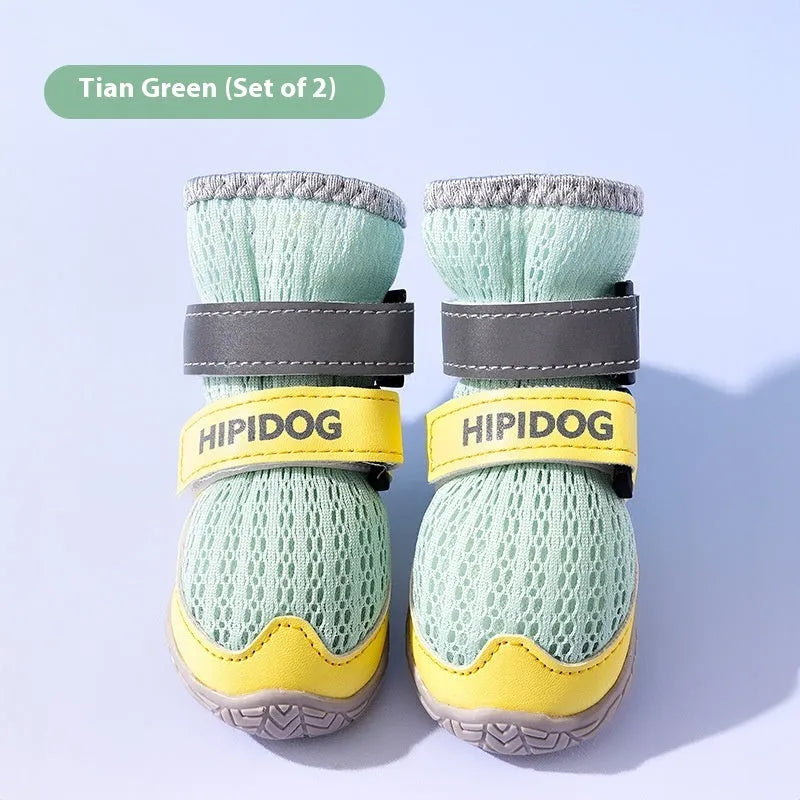 Cartoon style summer dog shoes in Bondi blue and Dean green colours on a white background.