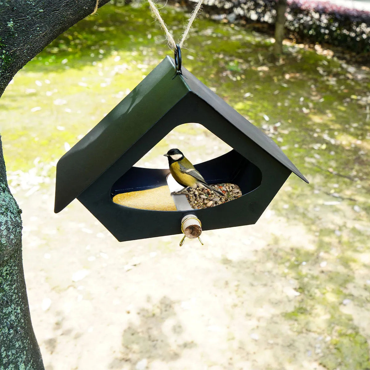 Simple European-style iron bird food nest in black or white for outdoor garden decoration.
