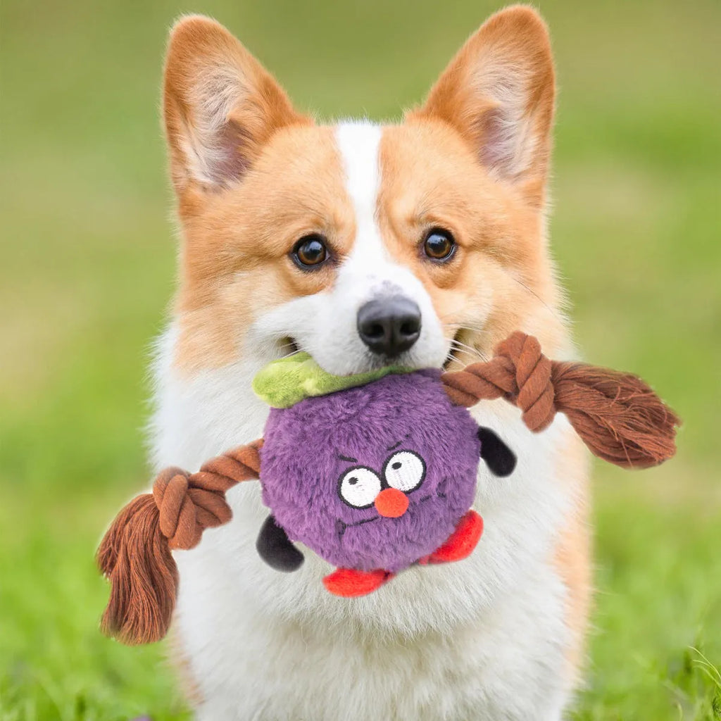 Green and purple interactive plush dog toy with rope knot and molar tooth design for tug of war.