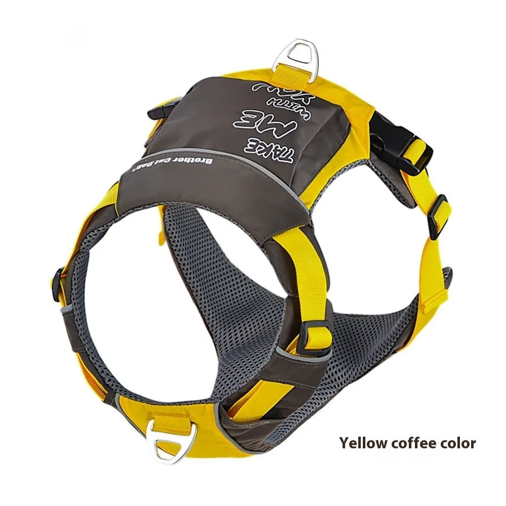 Orange blue nylon vest-style dog harness on a medium-sized dog.