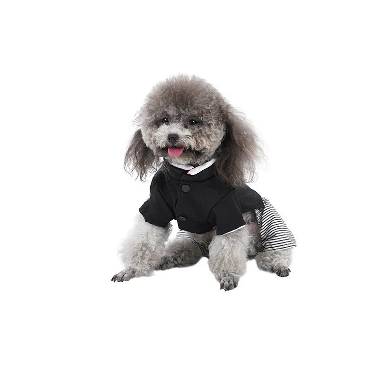 Cotton poodle dog clothing in skirt and four-foot pants styles for seasonal wear