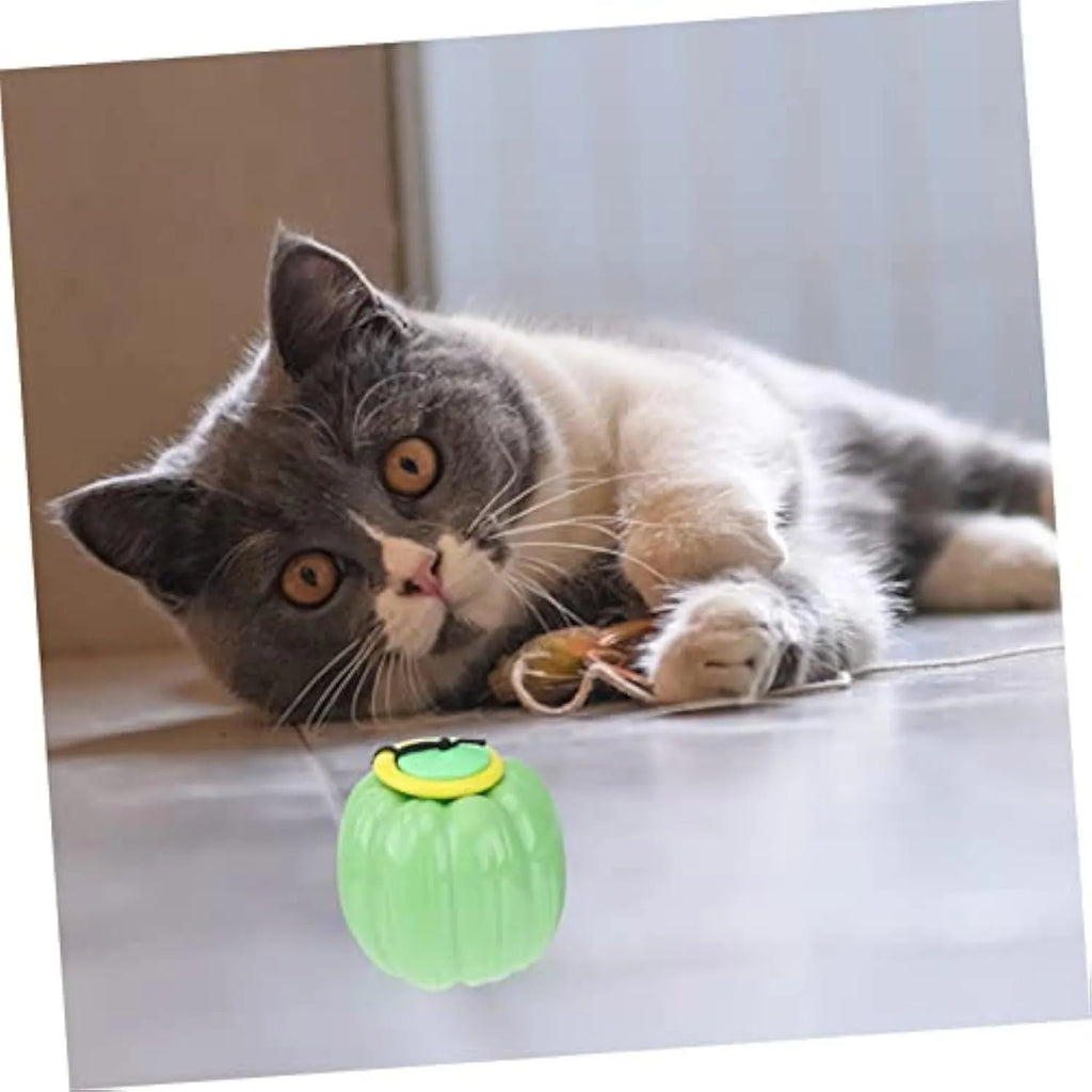 Orange plastic squeaky dog ball with Halloween pumpkin design for small breed chewing and training