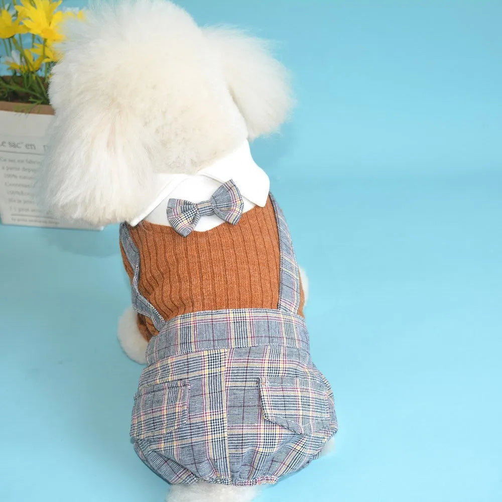 Orange and dark blue cotton dog suit shirt for small breeds in five sizes