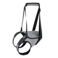 Grey neophene dog rear leg recovery support belt with adjustable waist and thigh straps