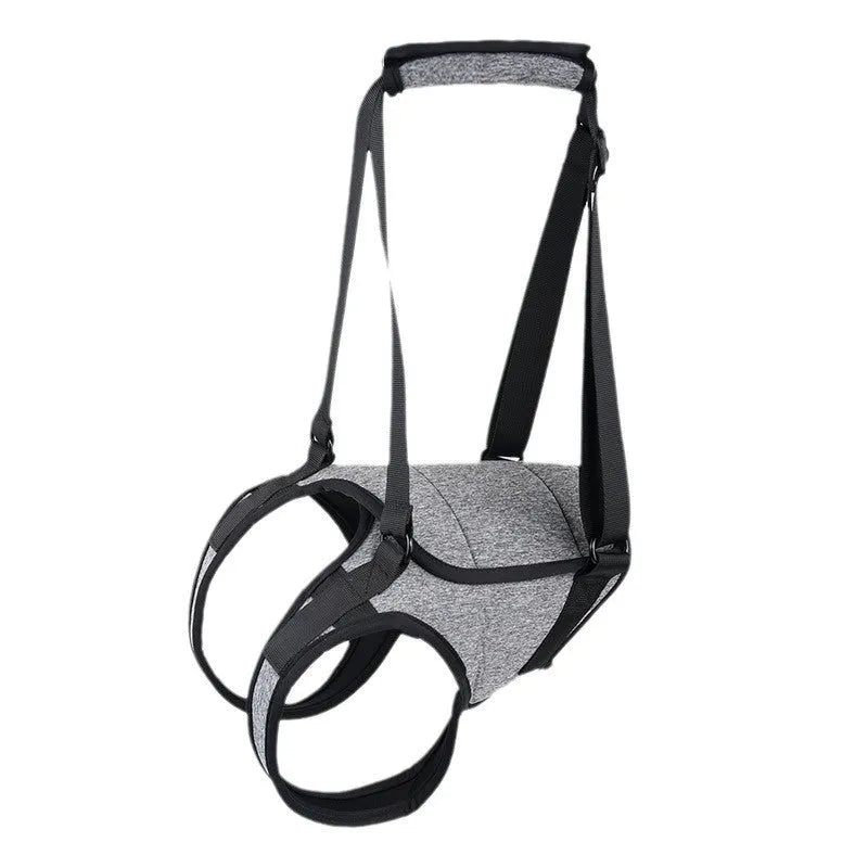 Grey neophene dog rear leg recovery support belt with adjustable waist and thigh straps
