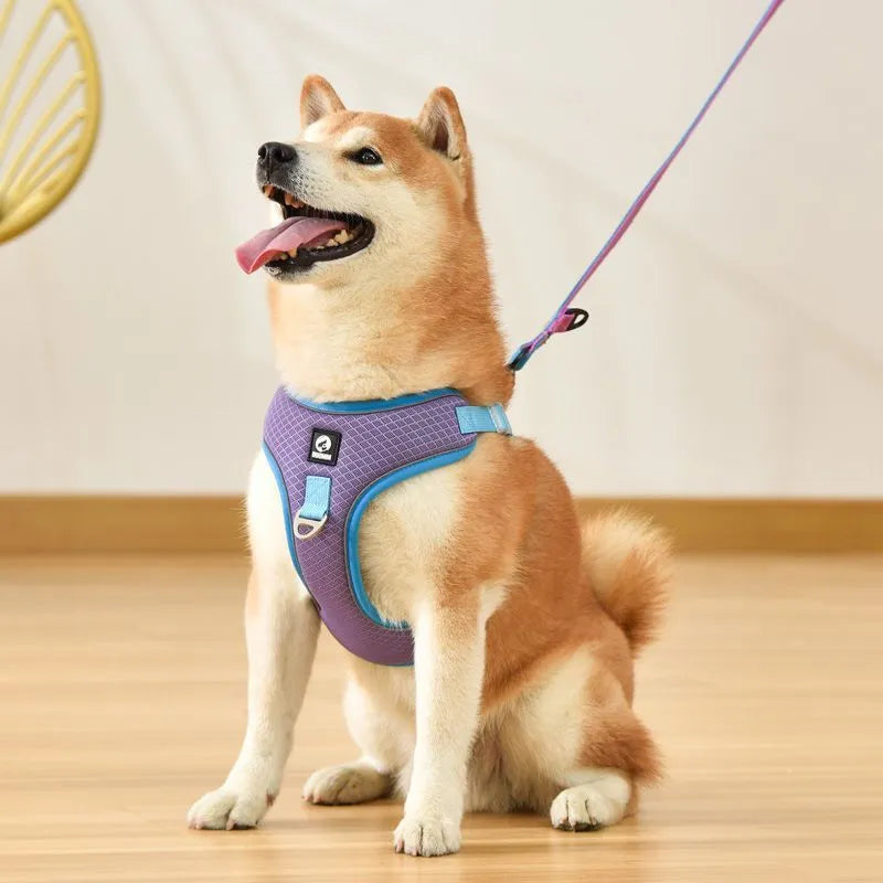 Adjustable breathable mesh dog harness with reflective piping in black colour showing chest strap design