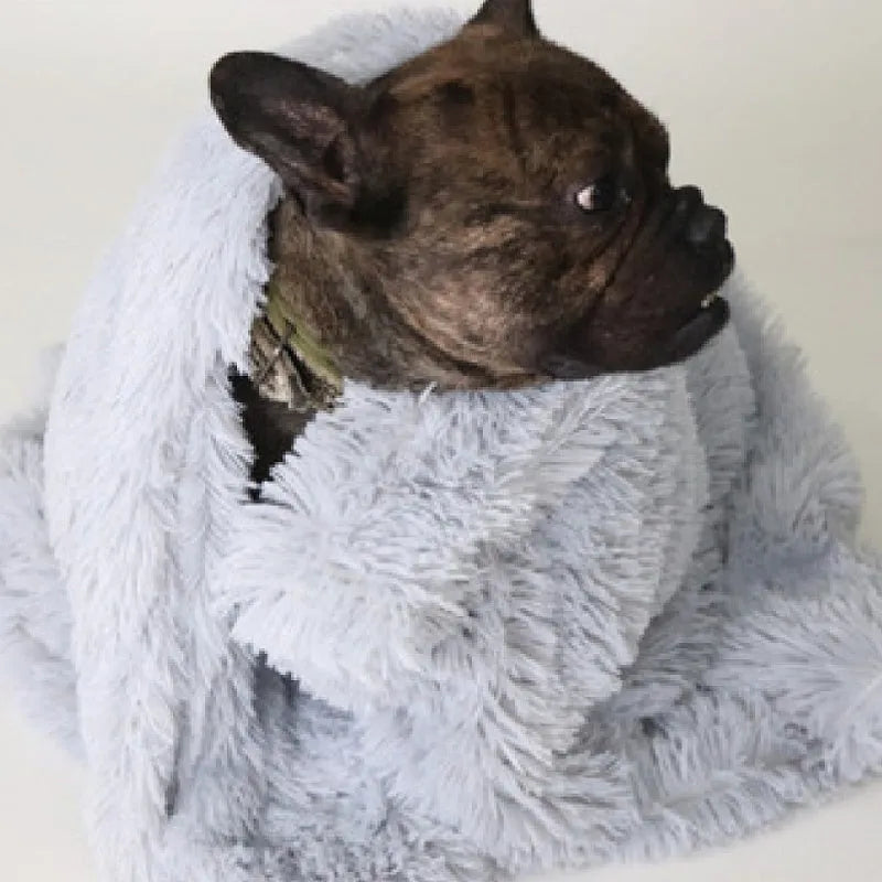 Soft grey plush dog blanket shown with a medium-sized dog lying on it.