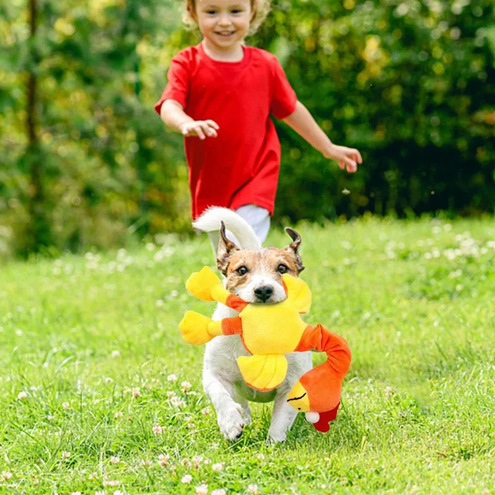 Bite-resistant rubber dog toy shaped with a screaming chicken design, in green colour.
