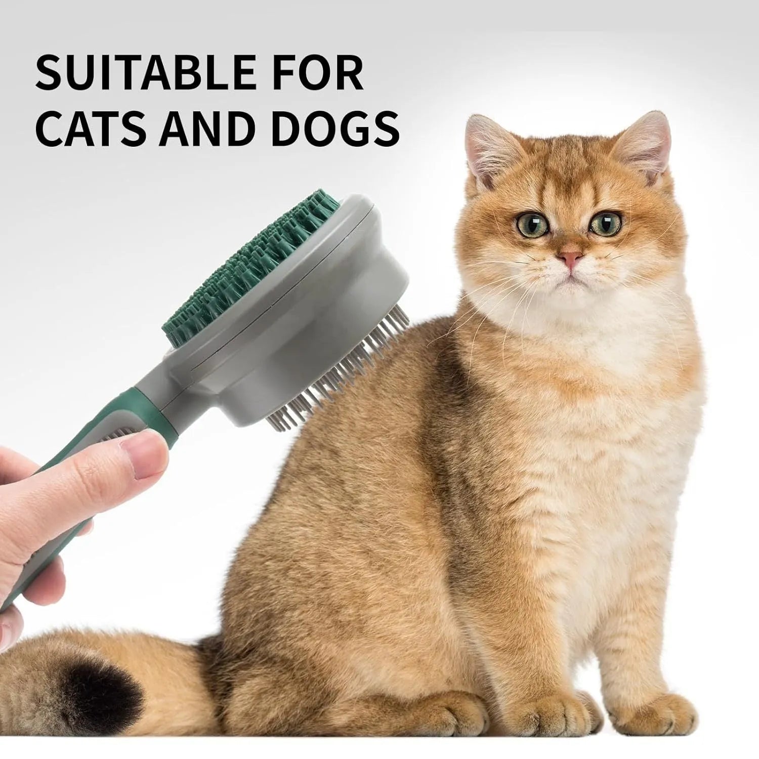 Green and pink 2-in-1 silicone cat brush showing slicker brush side and octopus-teethed massager side