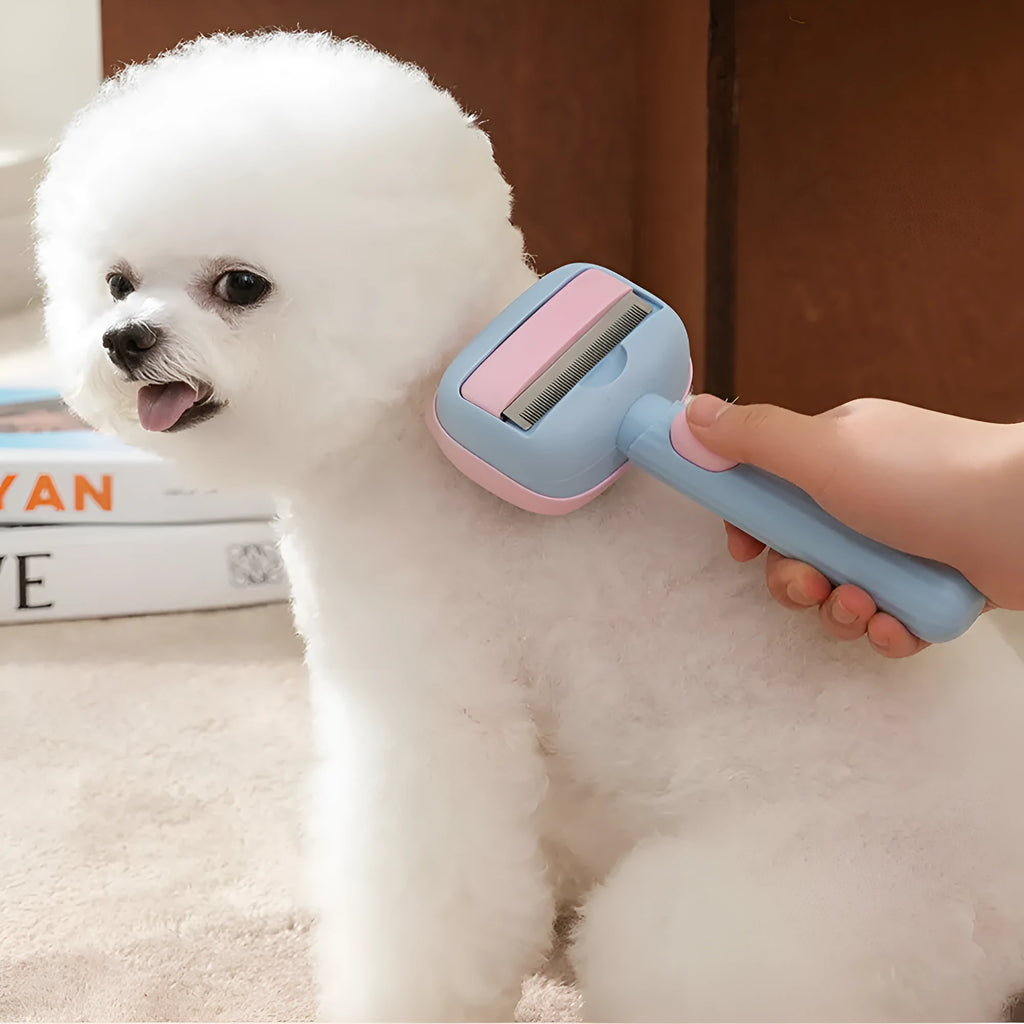 Blue and green double-sided pet grooming brush with deshedding rake and dematting comb for dogs and cats