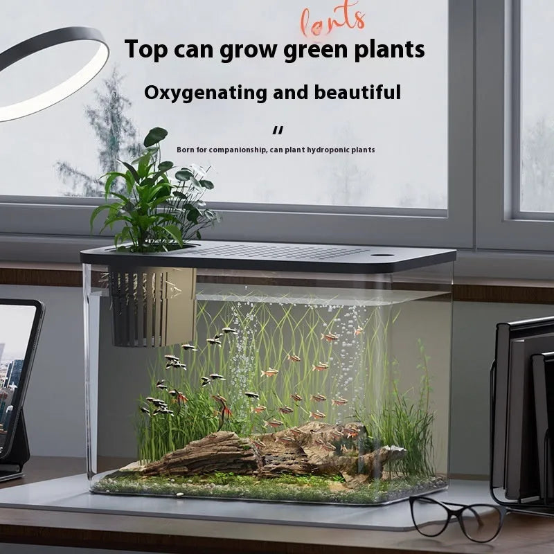 Plastic betta fish tank with cover in black or white colour, 32cm long medium size aquarium