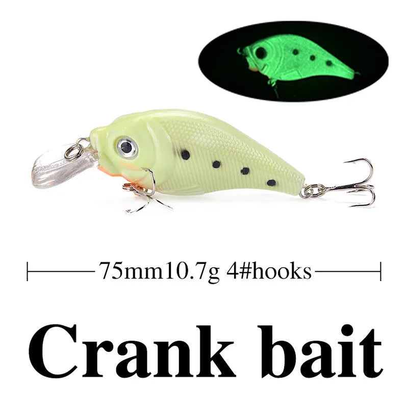 Five 3D fluorescent hard bait fishing lures with luminous properties for saltwater and freshwater fishing