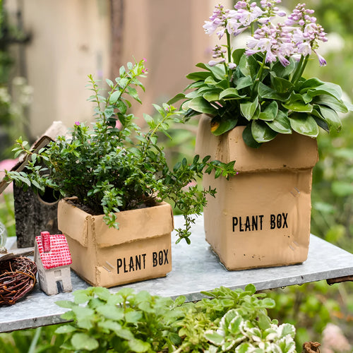 Cement brown paper box style flowerpot with bottom drainage hole for indoor balcony gardening