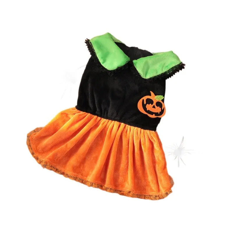 Small dog wearing an orange Halloween pumpkin skirt costume made of crystal velvet