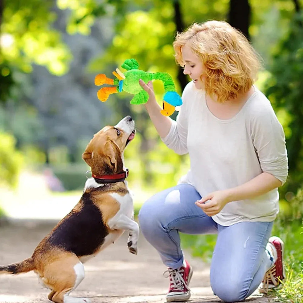 Bite-resistant rubber dog toy shaped with a screaming chicken design, in green colour.