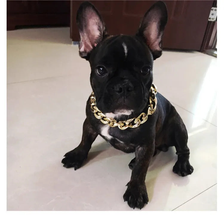 Gold colour chain-style dog collar necklace ornament with geometric design for small to medium dogs