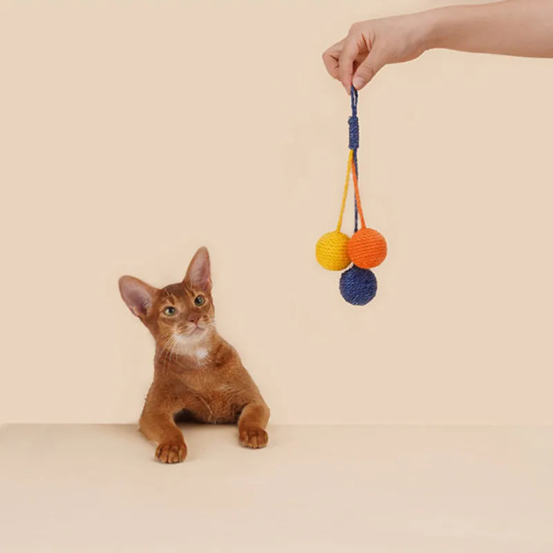Multi-colour cat teaser stick toy set with bite-resistant catnip ball measuring 255mm by 105mm