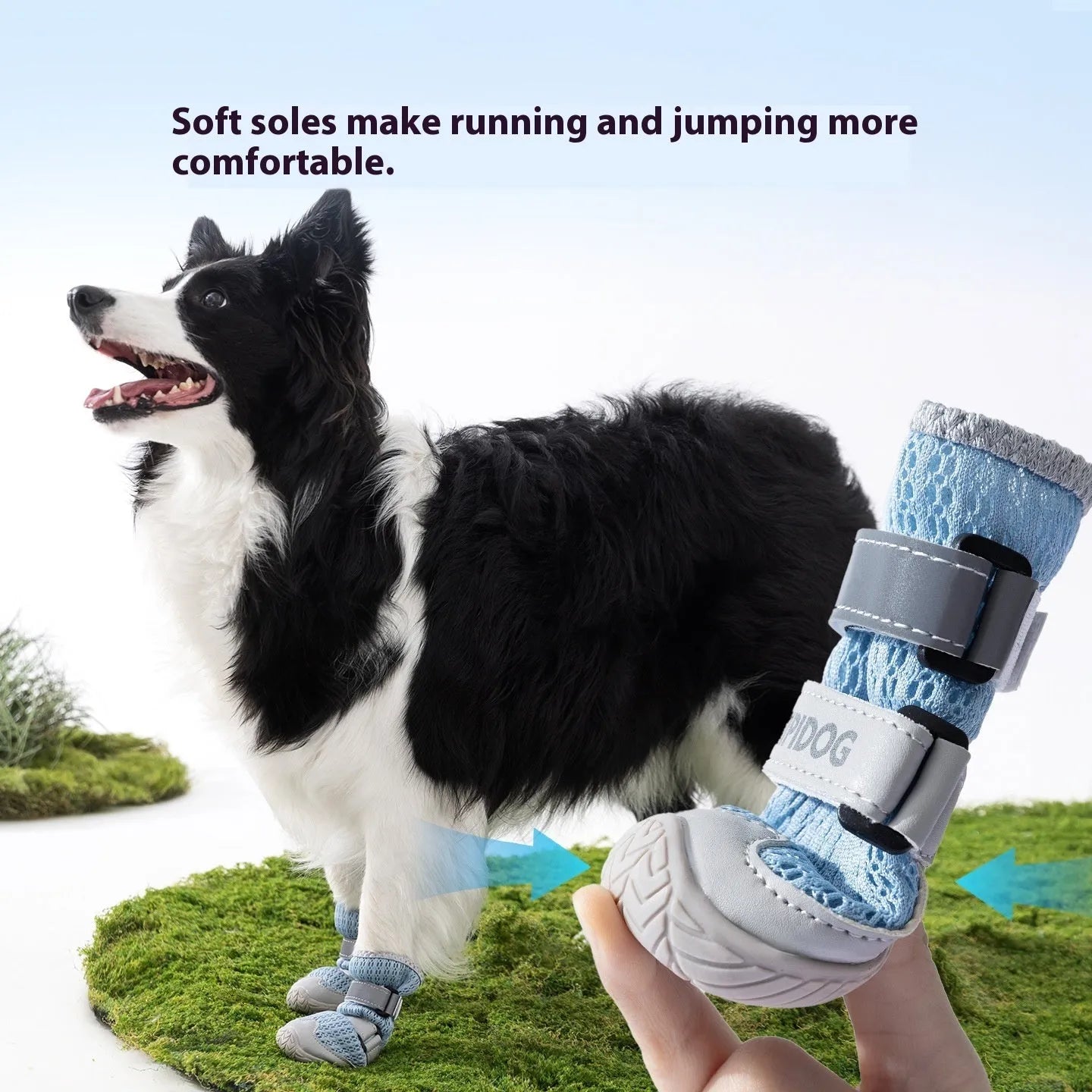 Cartoon style summer dog shoes in Bondi blue and Dean green colours on a white background.