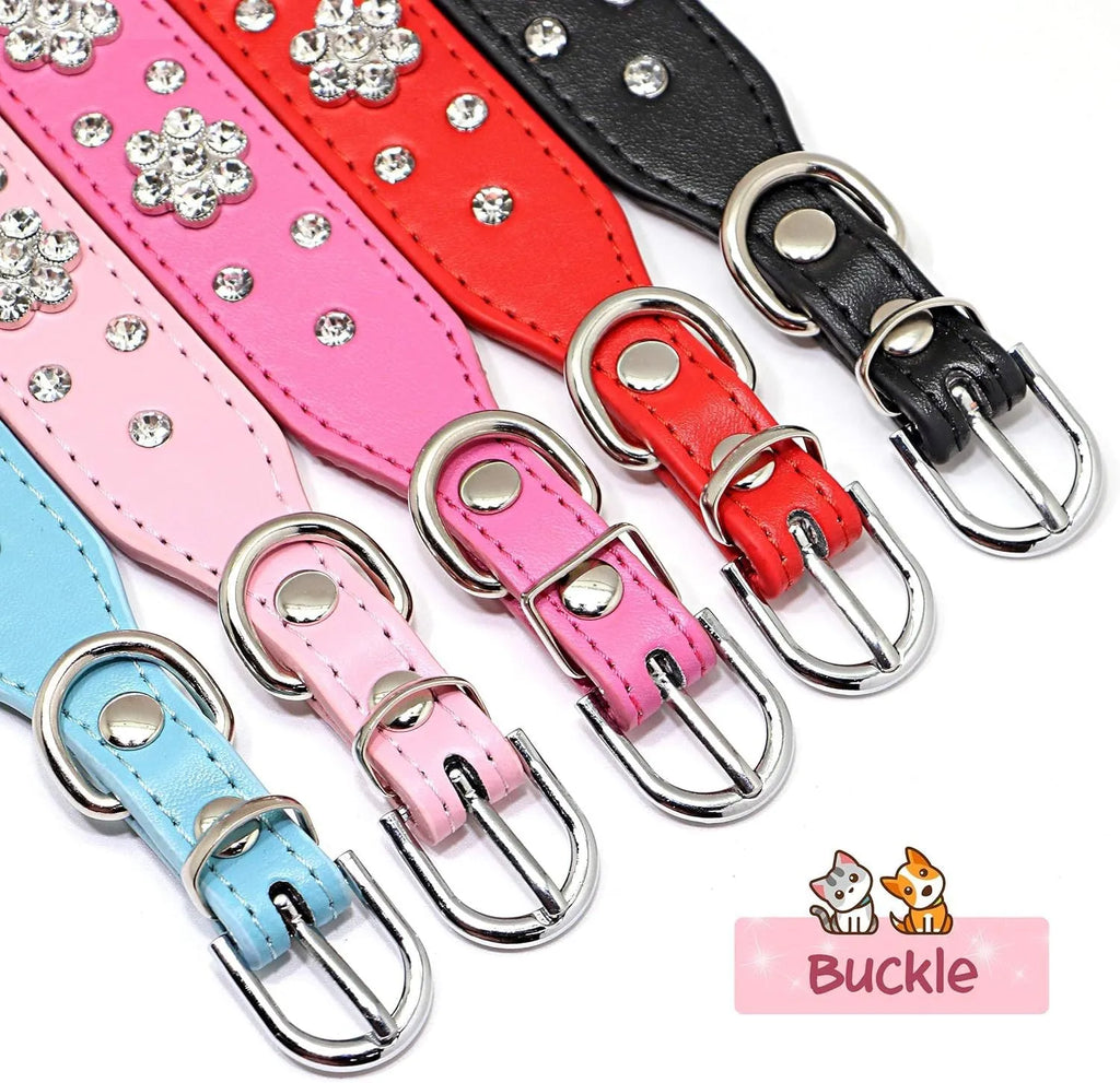 Black PU leather dog collar with rhinestone flower pattern and metal D-ring on a small dog.