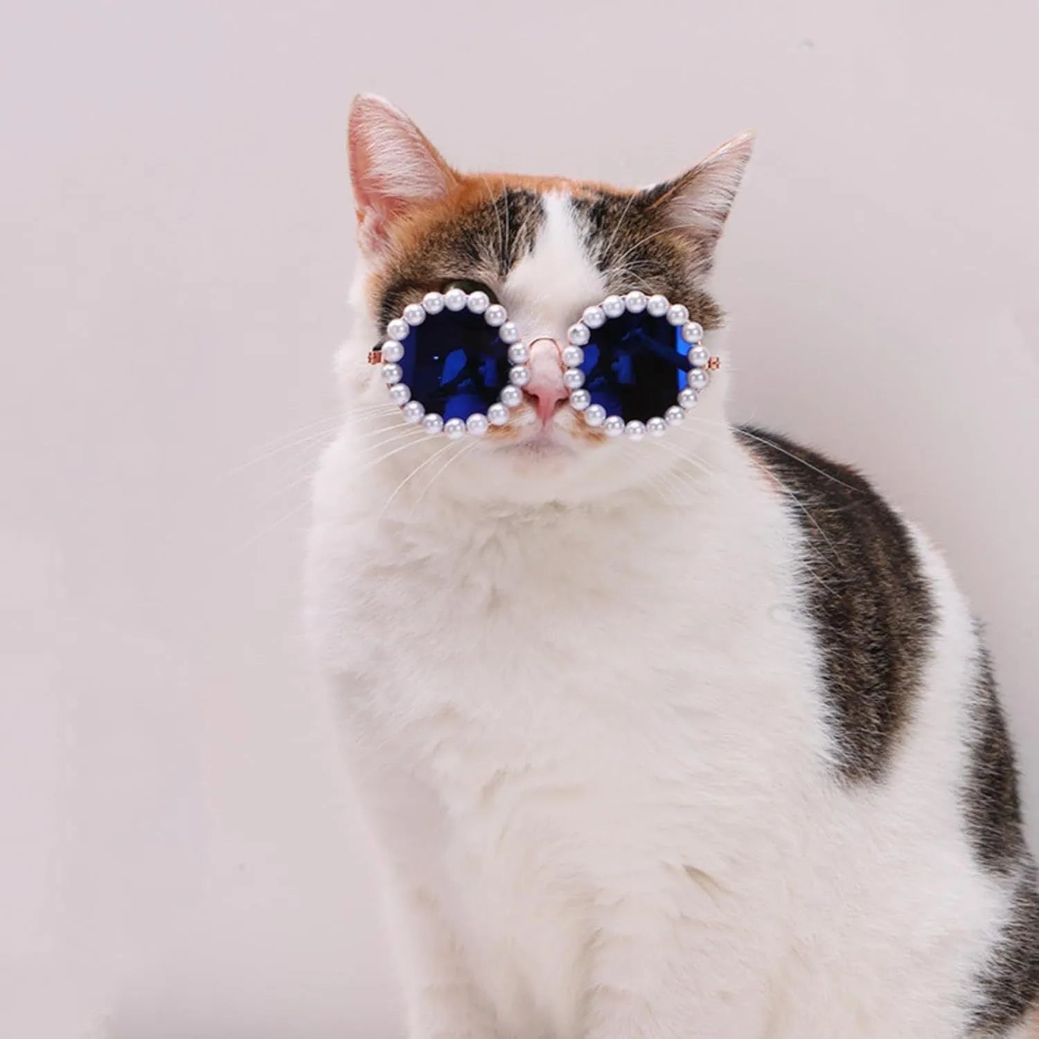 Pearl-rimmed round sunglasses for a cat or dog on a festive background.