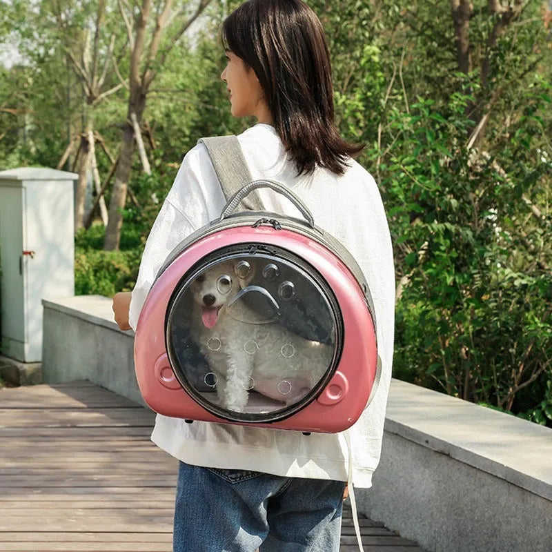 Transparent space capsule cat carrier bag with a metallic hard shell front cover