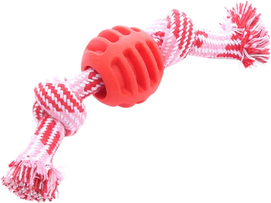 Blue dog chew toy with rope handles and textured molar surfaces for teeth cleaning