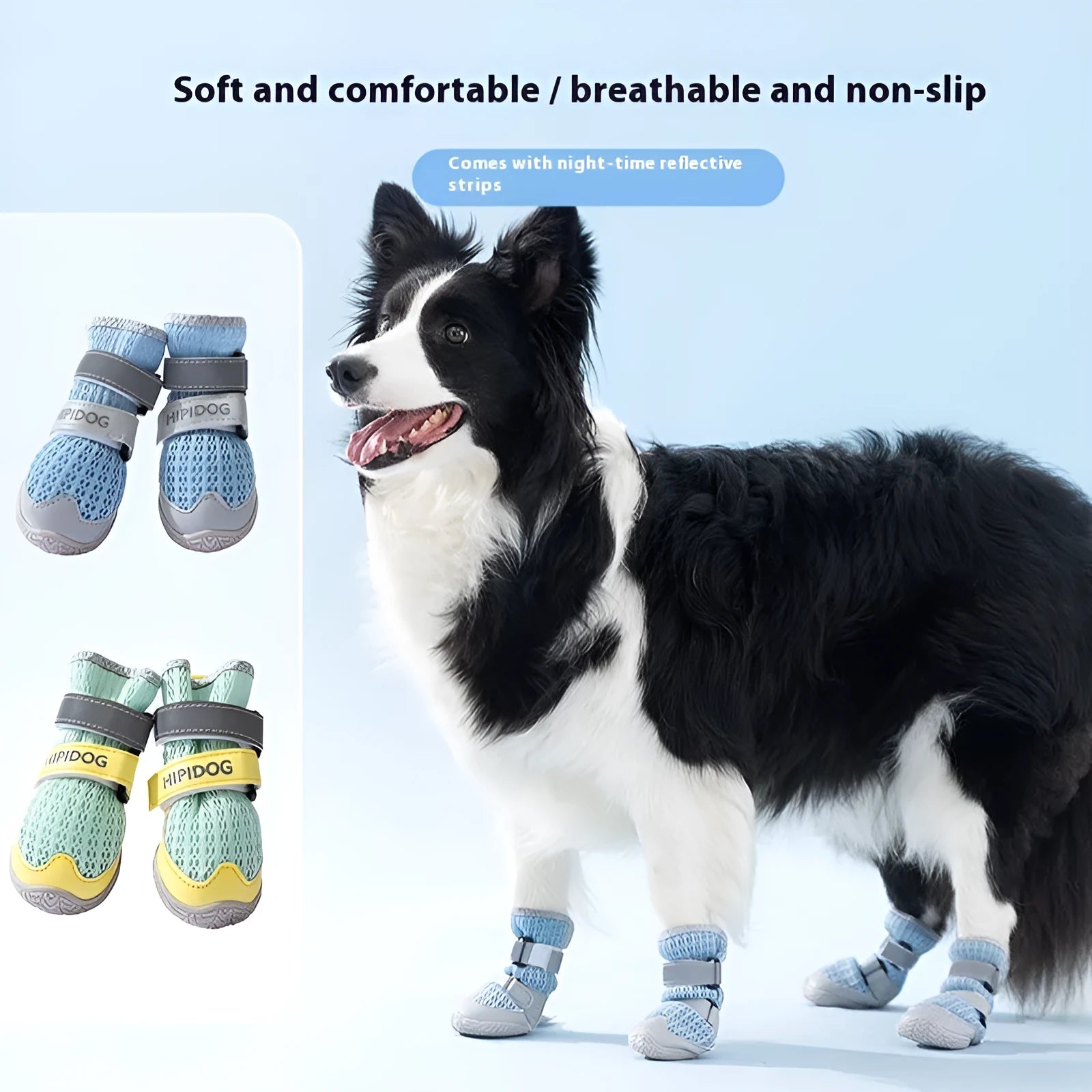 Cartoon style summer dog shoes in Bondi blue and Dean green colours on a white background.