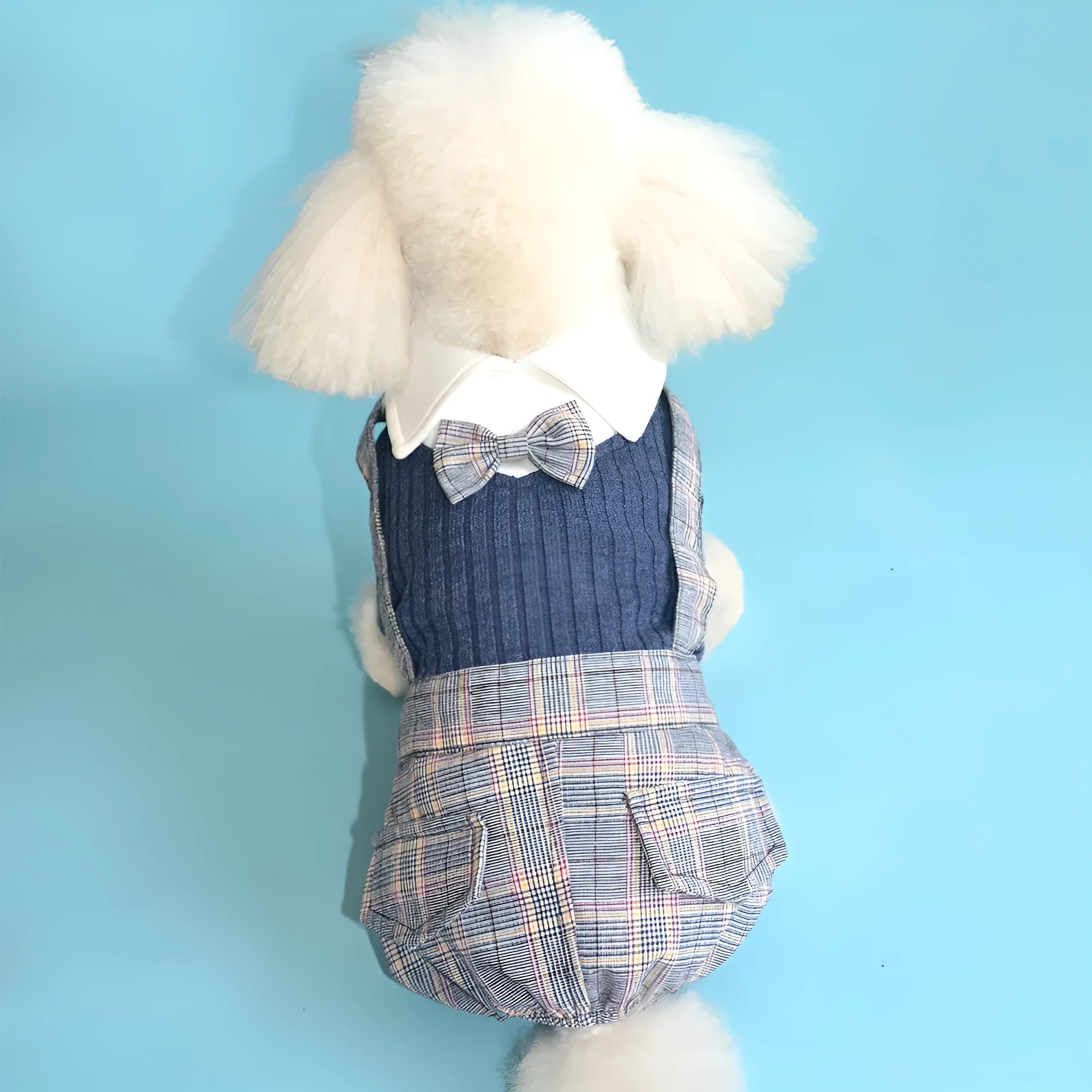 Orange and dark blue cotton dog suit shirt for small breeds in five sizes