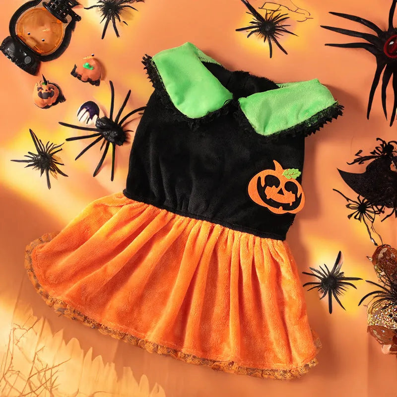 Small dog wearing an orange Halloween pumpkin skirt costume made of crystal velvet