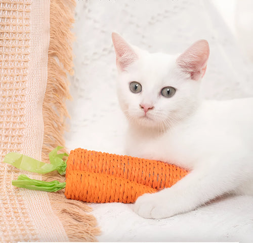 Cat toys with paper carrot shapes containing ringing stones for dental care and interactive play