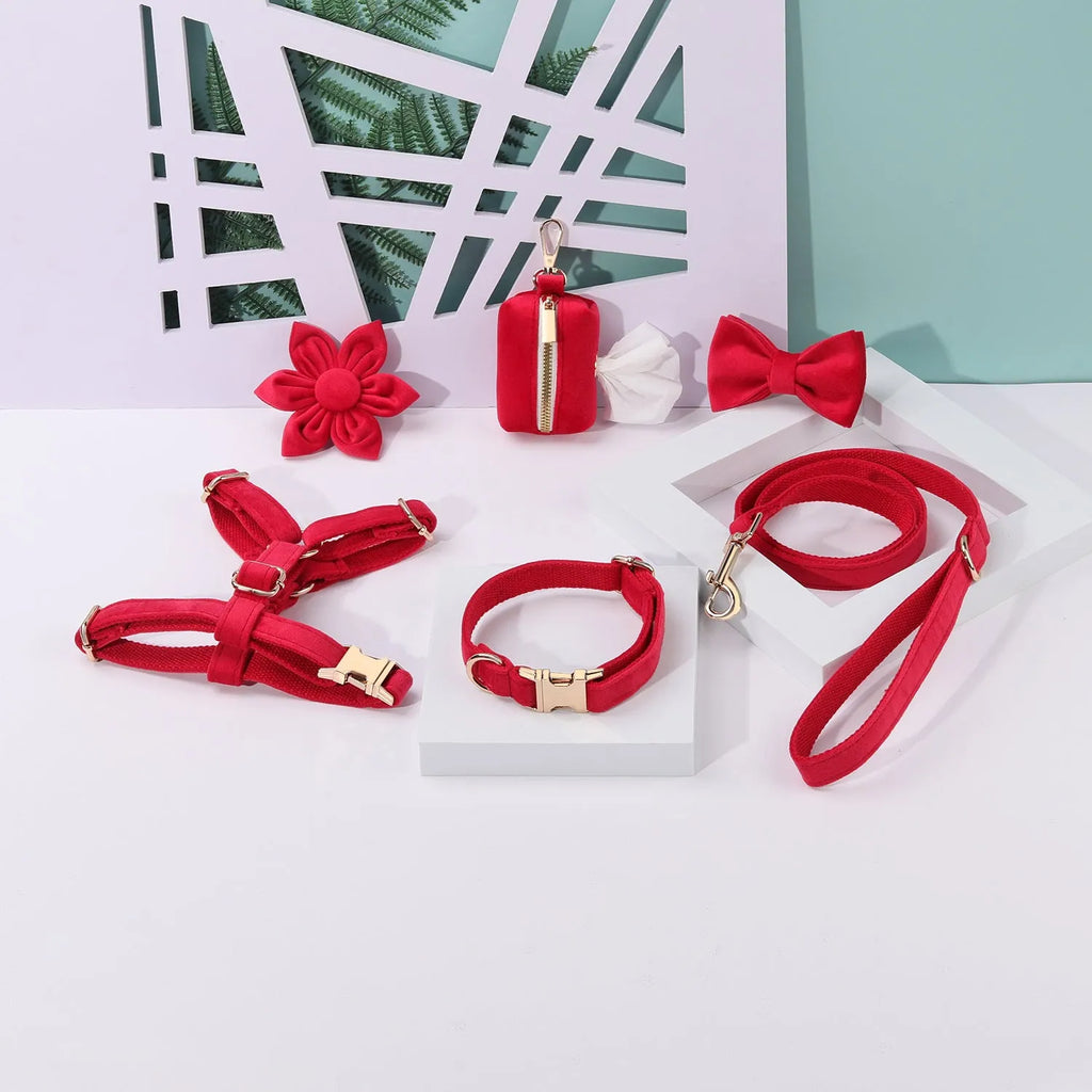 Velvet pet collar and traction rope set with bow tie and flower accessories in multiple colour options