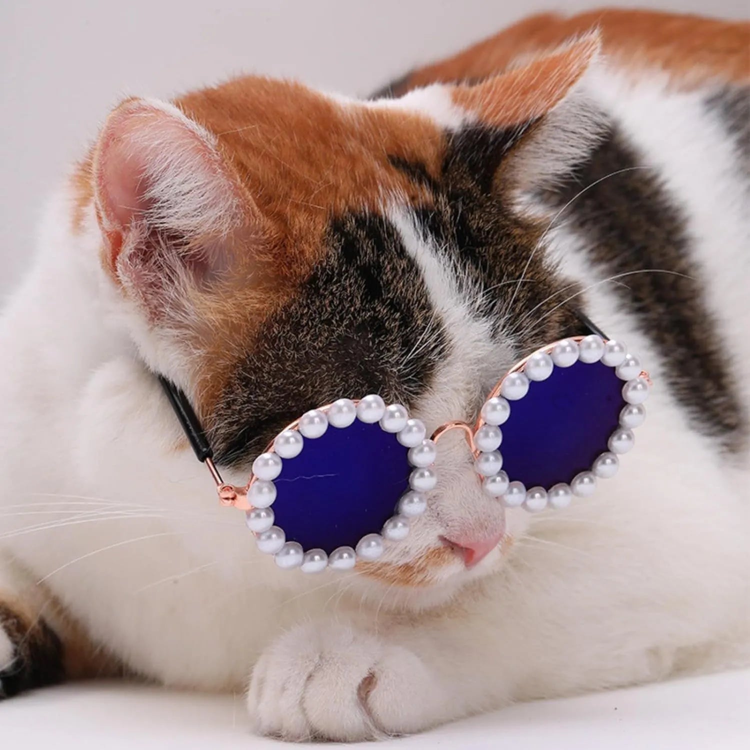 Pearl-rimmed round sunglasses for a cat or dog on a festive background.