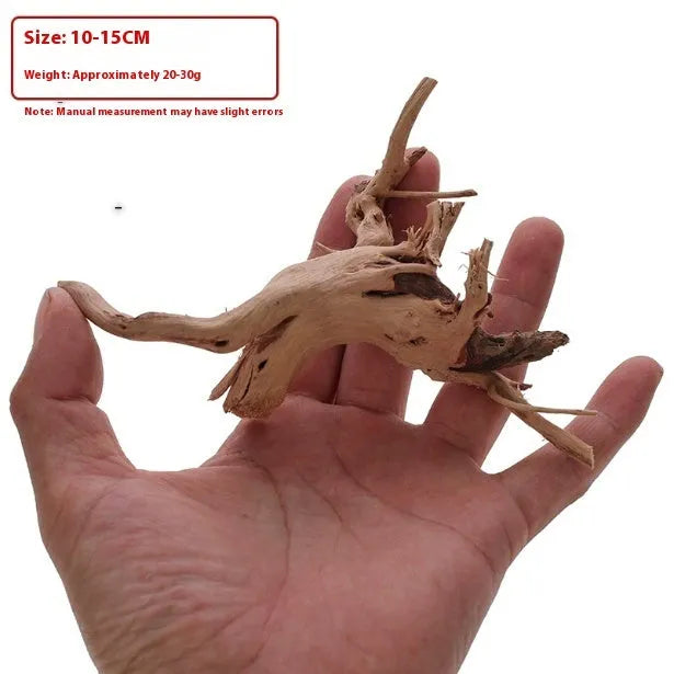 Xiaoqi root wood ornament for aquarium decoration on white background