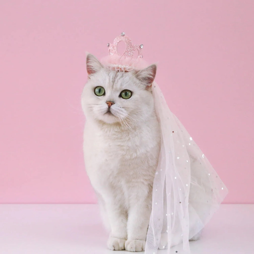 Adjustable princess crown headdress for cats in beige or pink veil options