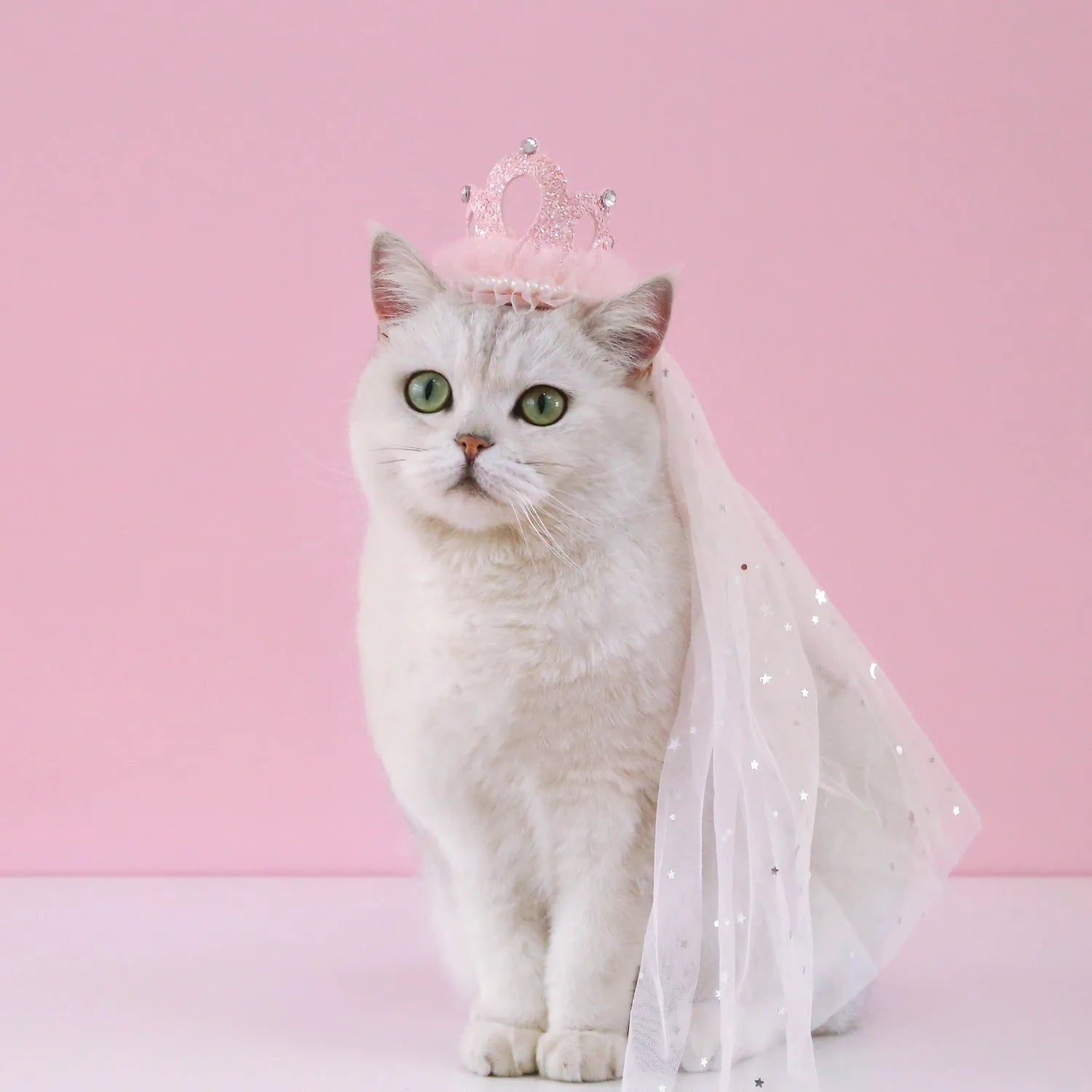Adjustable princess crown headdress for cats in beige or pink veil options