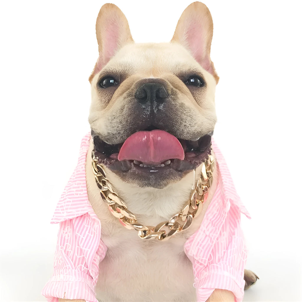 Gold colour chain-style dog collar necklace ornament with geometric design for small to medium dogs