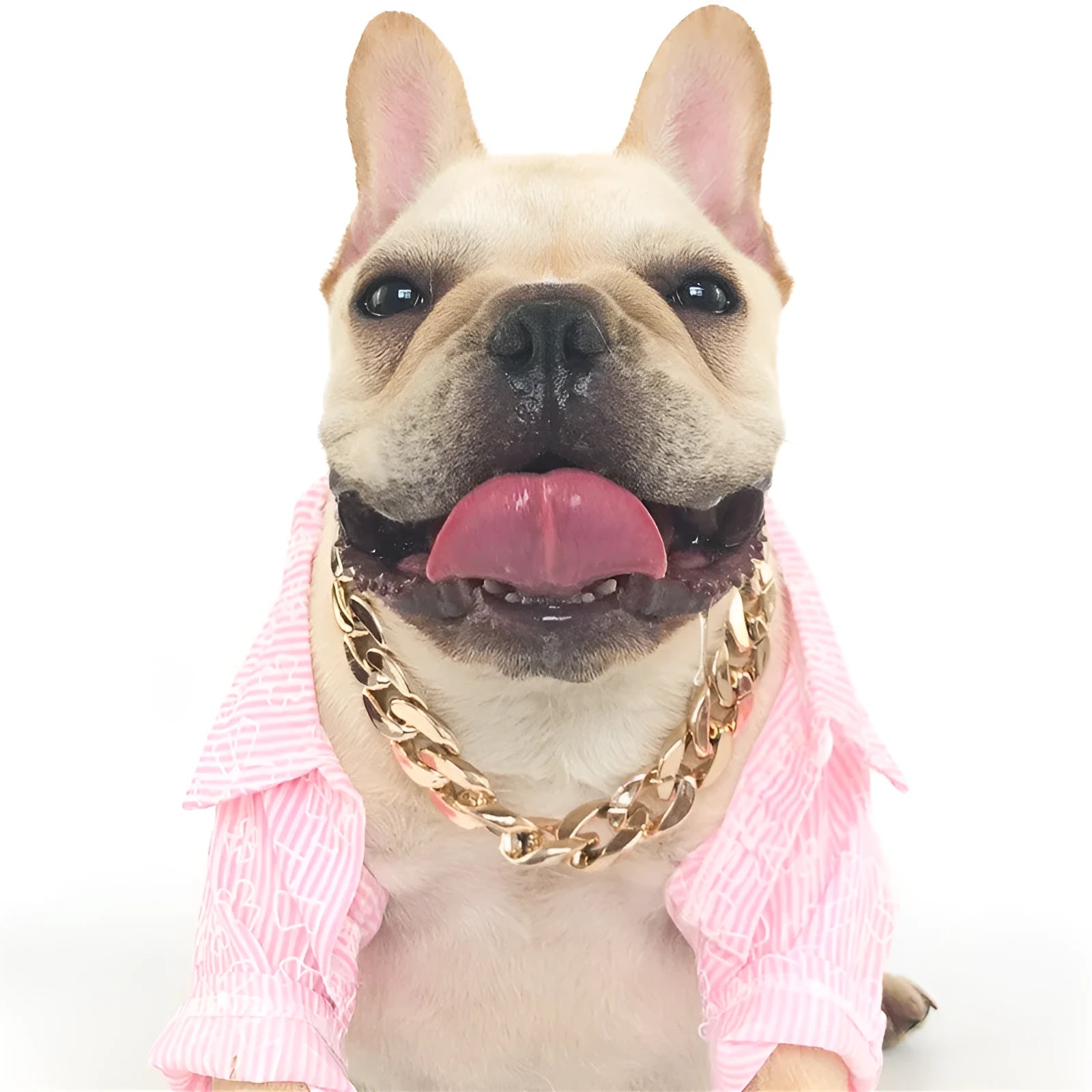 Gold colour chain-style dog collar necklace ornament with geometric design for small to medium dogs