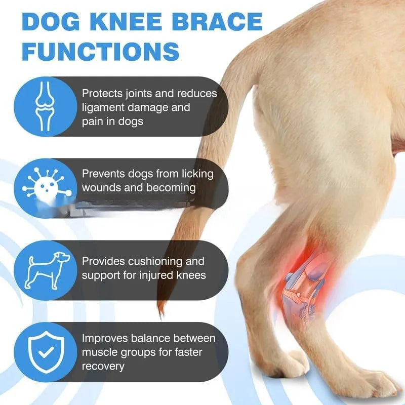 Black polyester pet leg guard for joint protection with adjustable sizing for dogs and cats