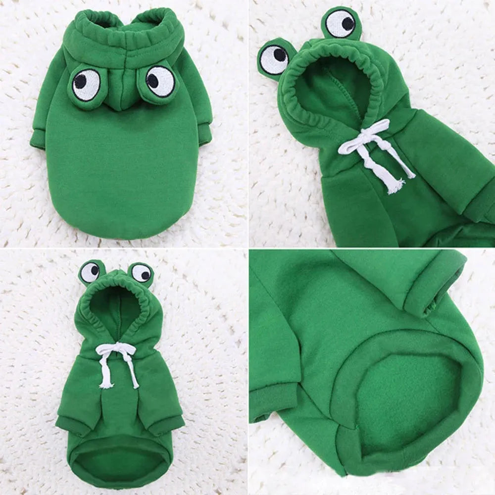 Green frog costume hoodie on small dog showing frog pattern design and hoodie style
