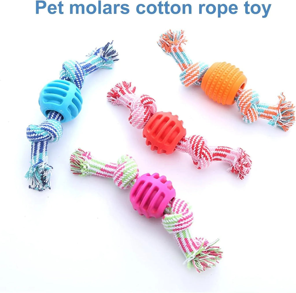 Blue dog chew toy with rope handles and textured molar surfaces for teeth cleaning