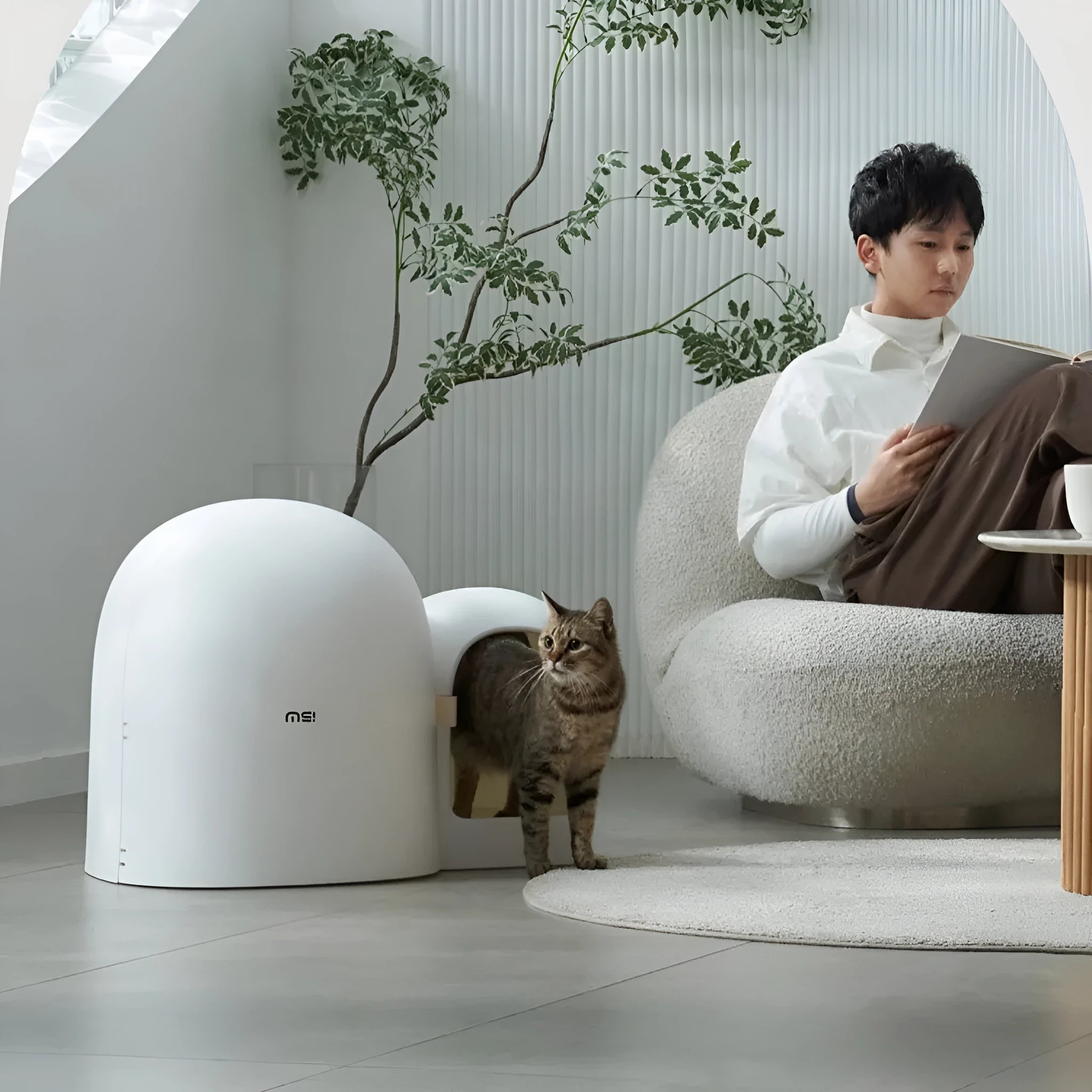 Fully enclosed oversized cat litter box in ABS plastic measuring 67.7x49x50cm