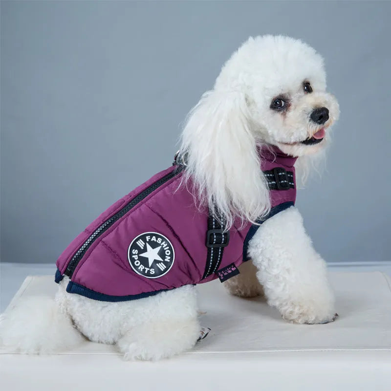 Red waterproof dog coat with integrated harness on a Labrador.