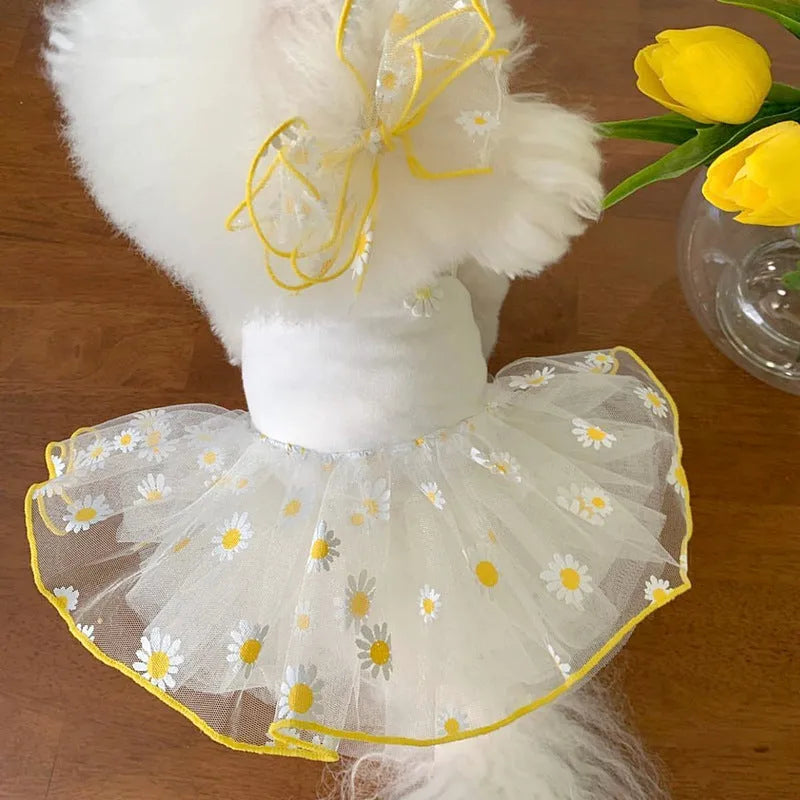 Yellow daisy pattern summer dog clothes on pet, lightweight polyester fabric