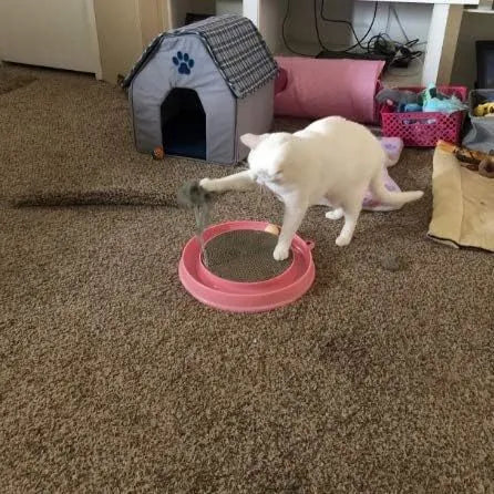 Blue cat scratcher toy with circular ball track and replaceable cardboard scratching surface