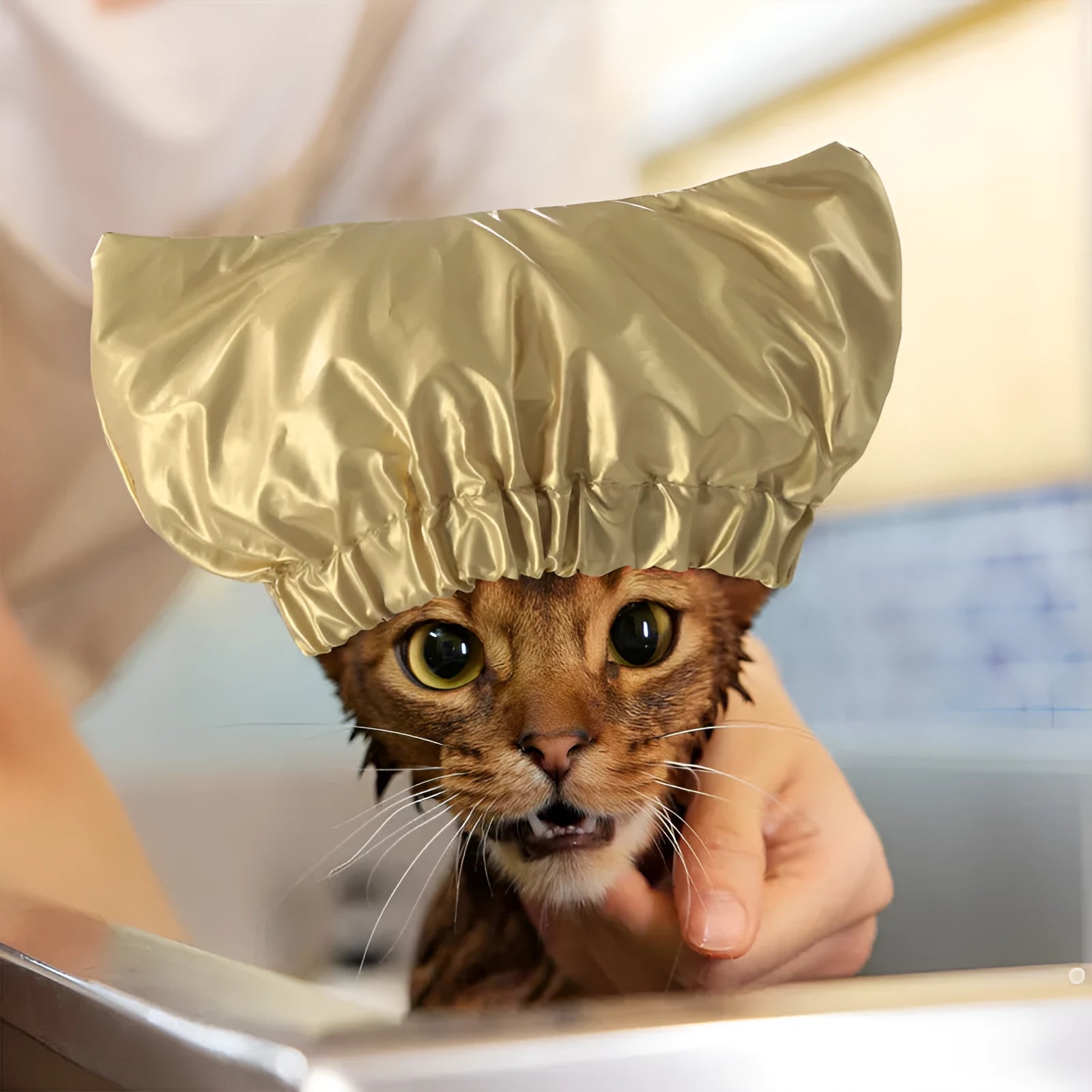 A silver adjustable waterproof shower cap for a dog or cat on a non-woven fabric background.