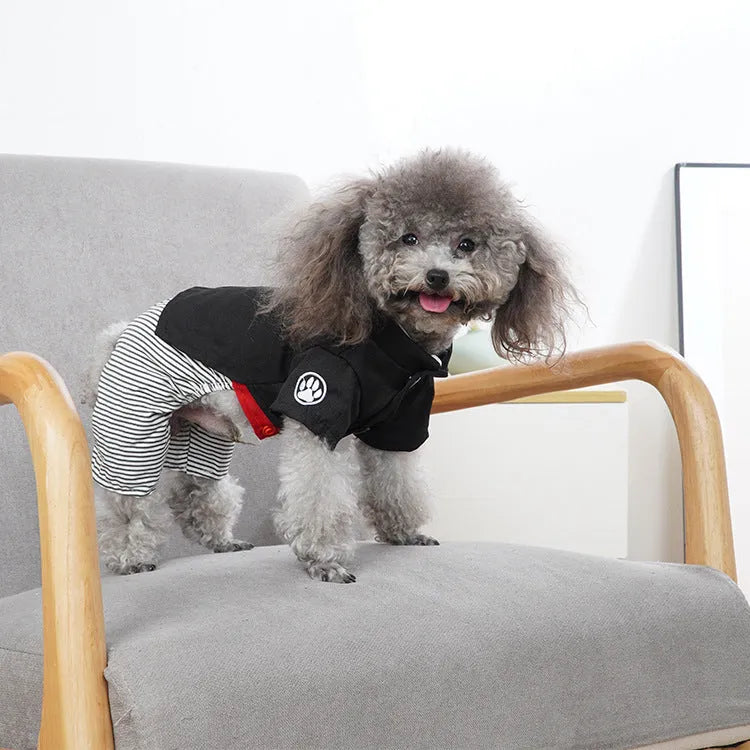 Cotton poodle dog clothing in skirt and four-foot pants styles for seasonal wear