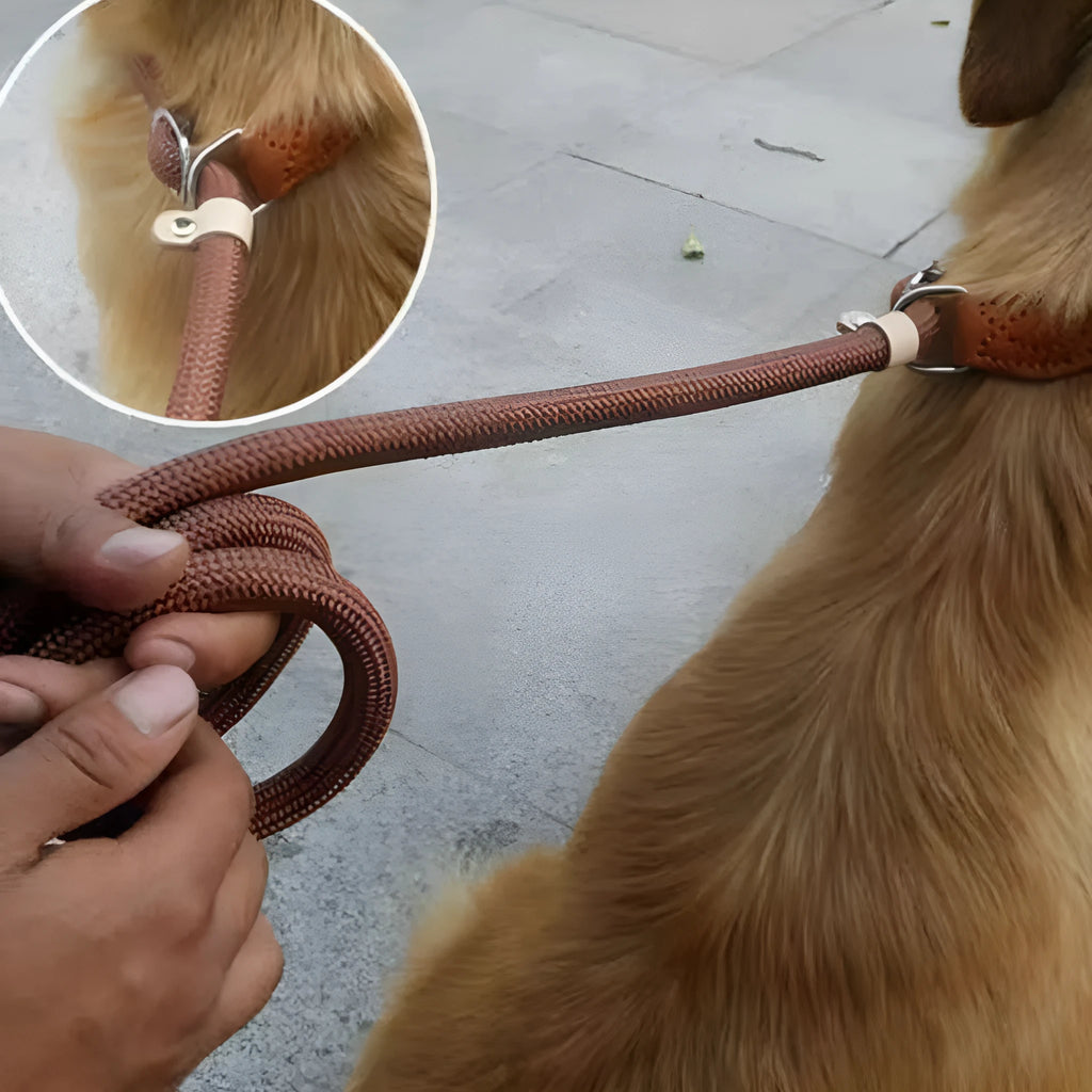 Brown nylon P chain dog leash with hand-holding rope, 2.1 metres long